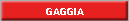 GAGGIA